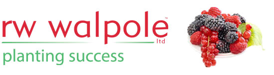 R W Walpole and Partners